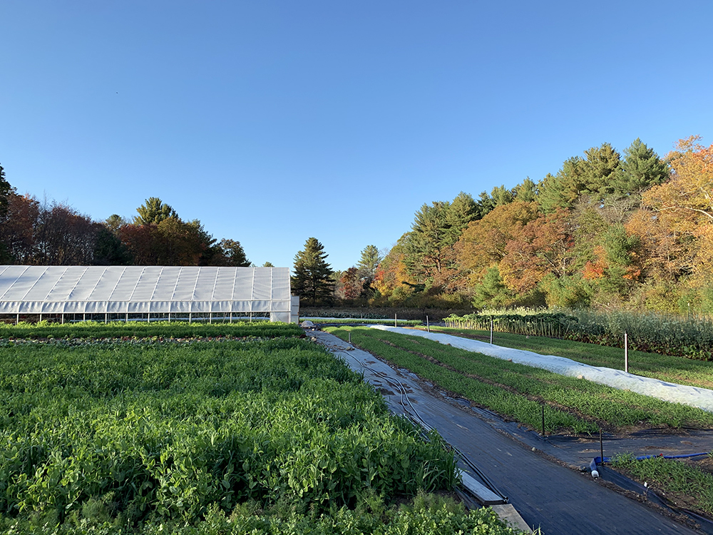 To Fight Climate Change, Bank on Soil