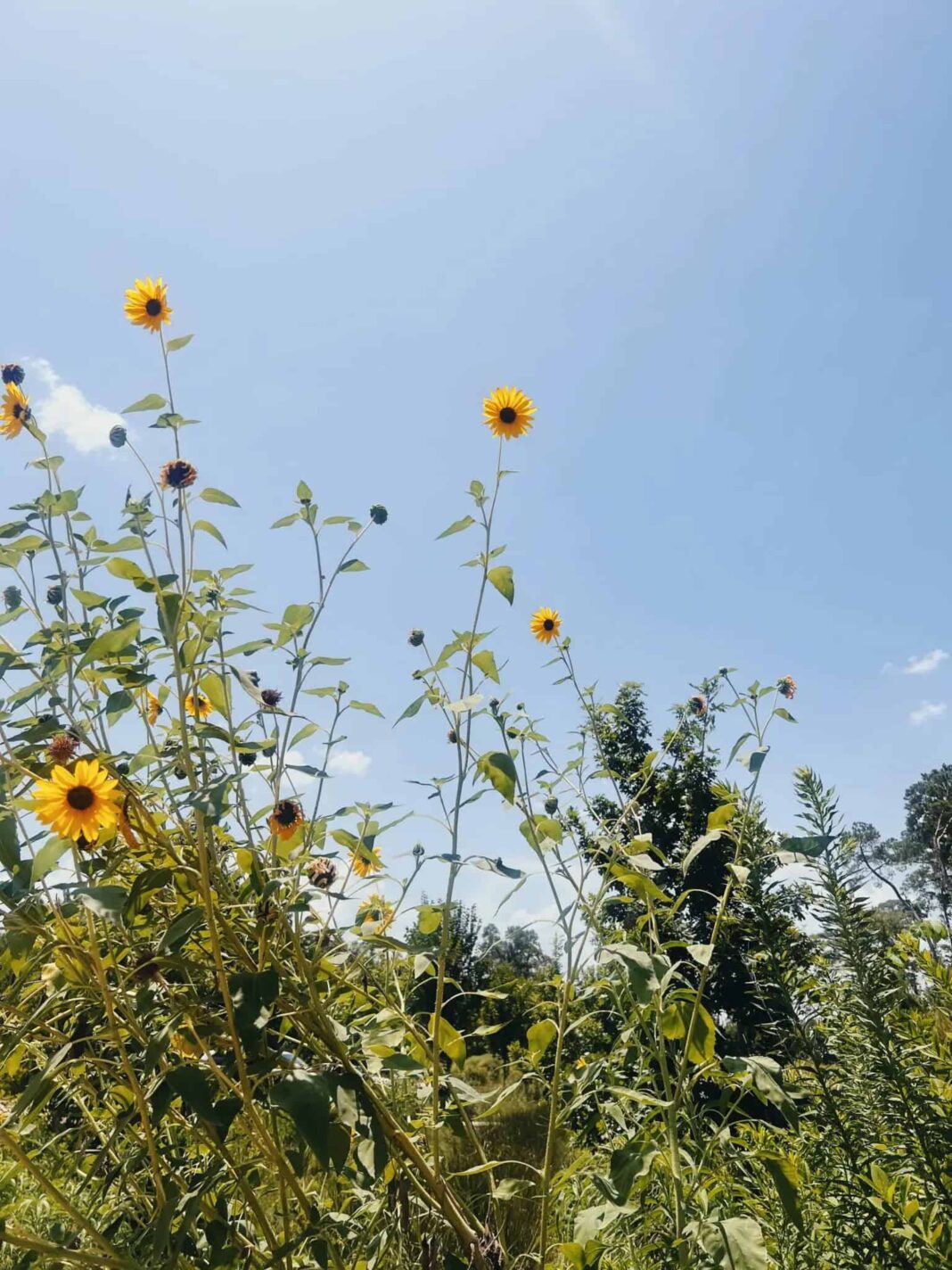 Building a Winter Life We’ll Love