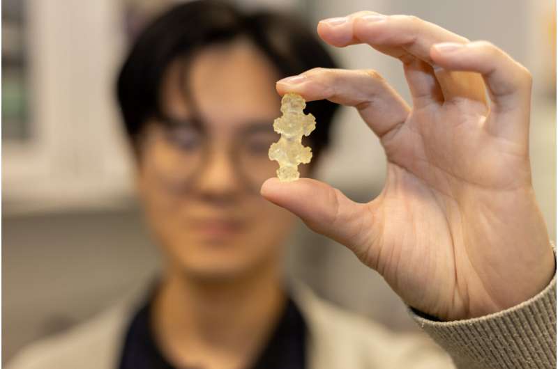 From soft to solid: How a coral stiffens its skeleton on demand