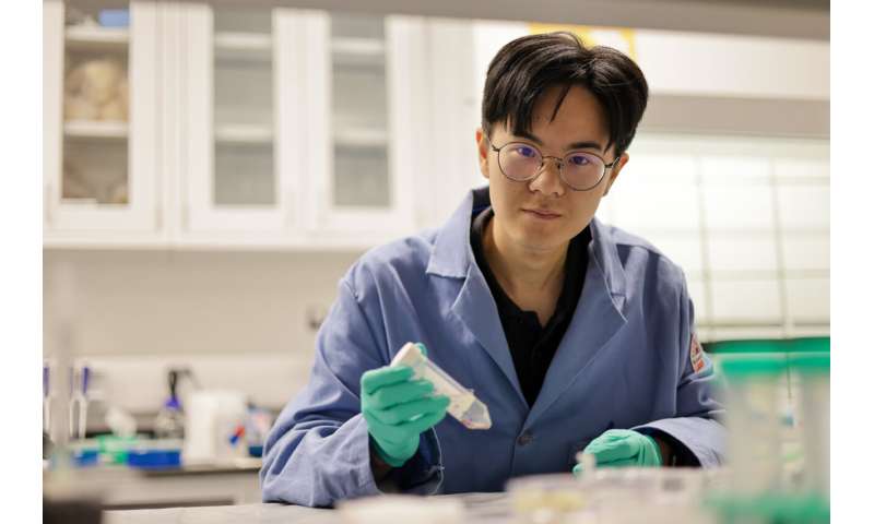 From soft to solid: How a coral stiffens its skeleton on demand