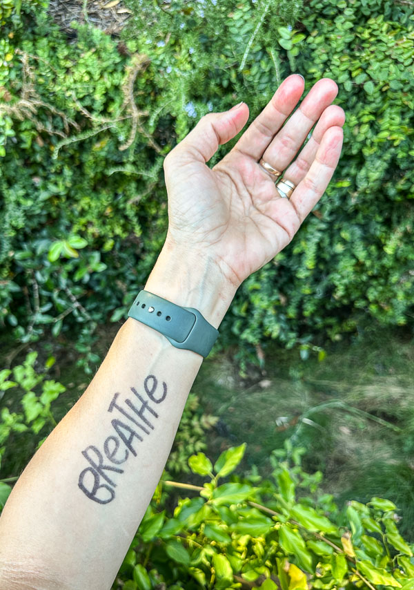 My Everyday Life Week 41 of 2025- Tracy Benjamin of Shutterbean.com