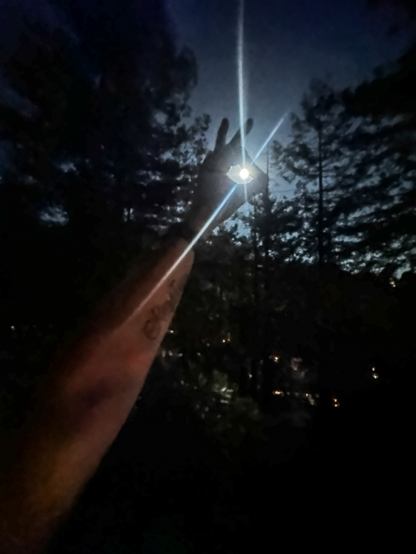 My Everyday Life Week 41 of 2025- Tracy Benjamin of Shutterbean.com