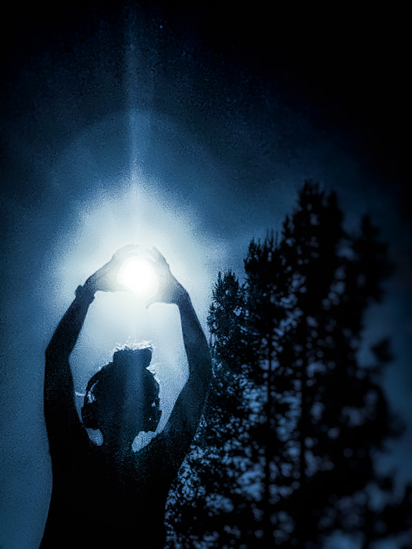 My Everyday Life Week 41