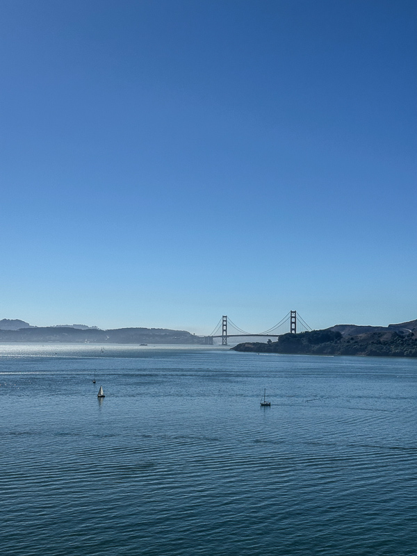 My Everyday Life Week 41 of 2025- Tracy Benjamin of Shutterbean.com