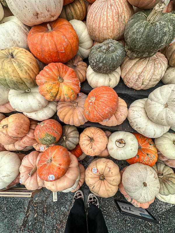 My Everyday Life Week 41 of 2025- Tracy Benjamin of Shutterbean.com