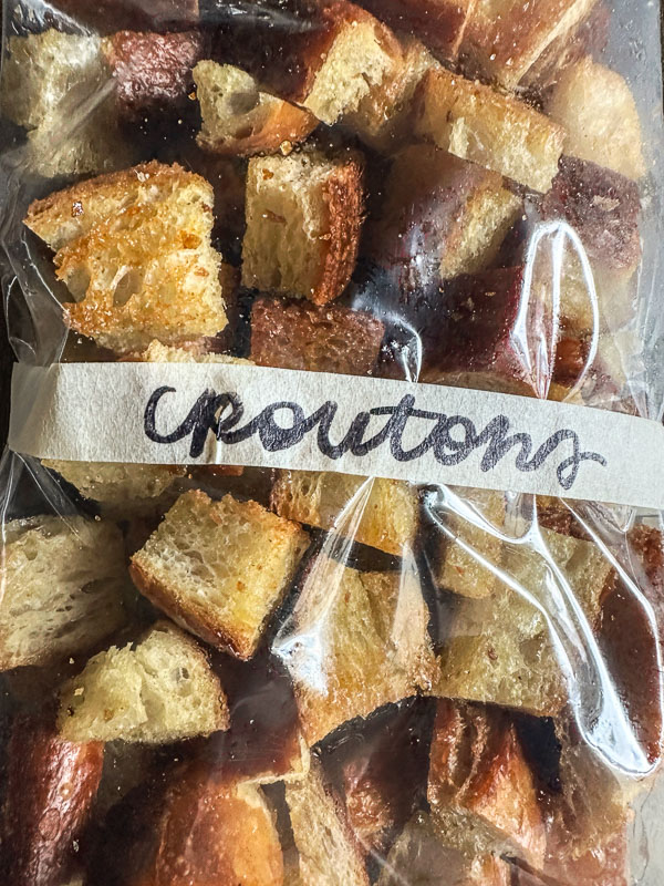 My Everyday Life Week 41 of 2025- Tracy Benjamin of Shutterbean.com