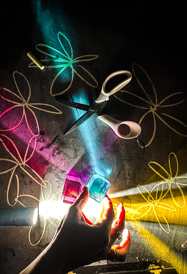 My Everyday Life Week 41 of 2025- Tracy Benjamin of Shutterbean.com