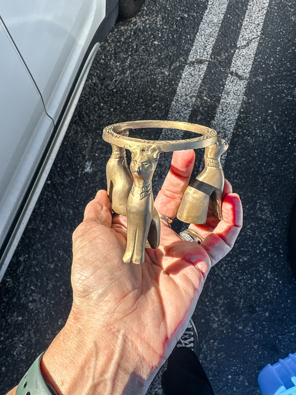 My Everyday Life Week 41 of 2025- Tracy Benjamin of Shutterbean.com