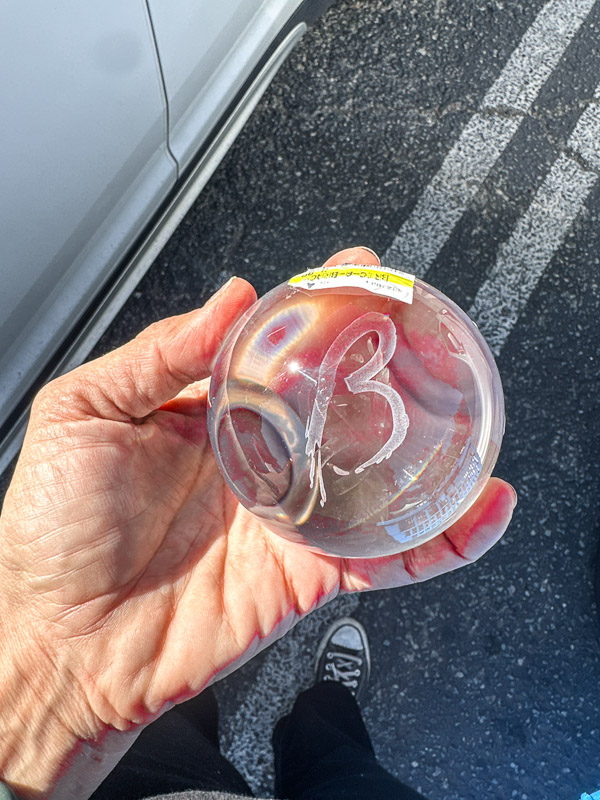 My Everyday Life Week 41 of 2025- Tracy Benjamin of Shutterbean.com