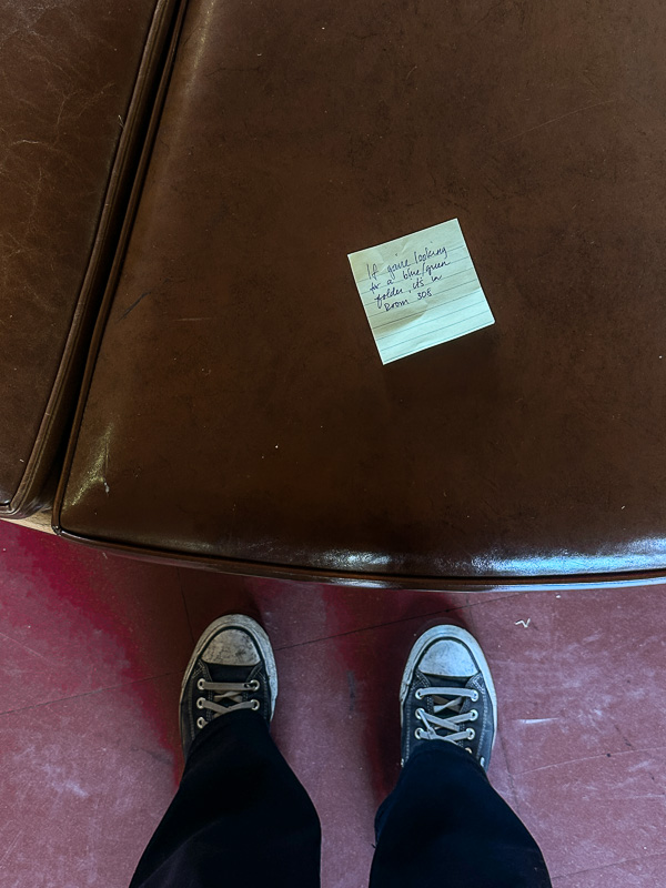 My Everyday Life Week 41 of 2025- Tracy Benjamin of Shutterbean.com