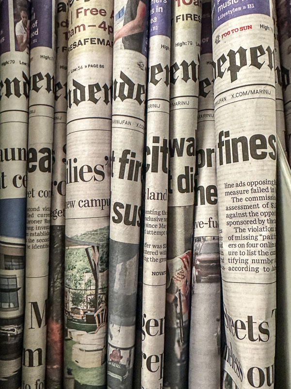 My Everyday Life Week 41 of 2025- Tracy Benjamin of Shutterbean.com