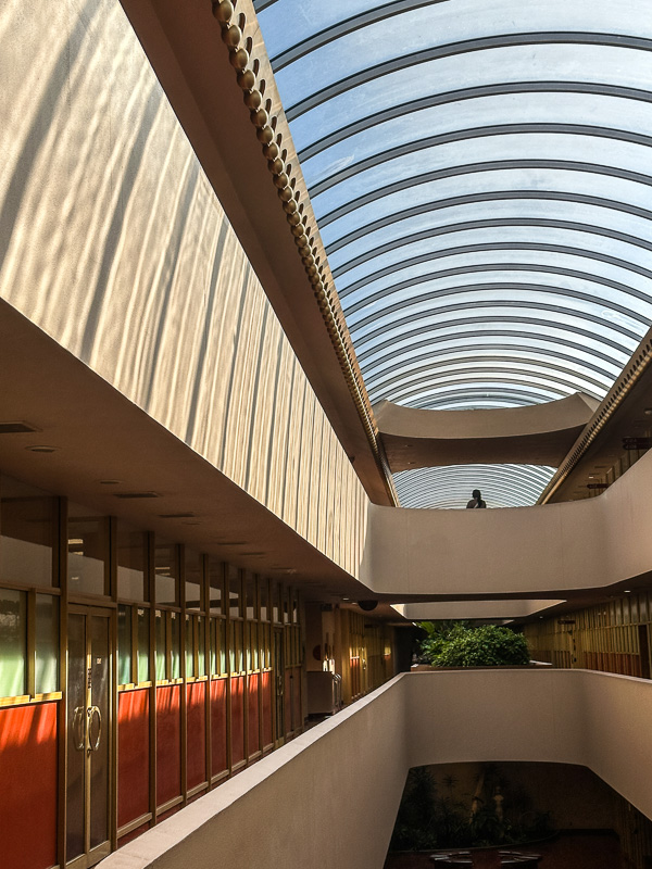 My Everyday Life Week 41 of 2025- Tracy Benjamin of Shutterbean.com