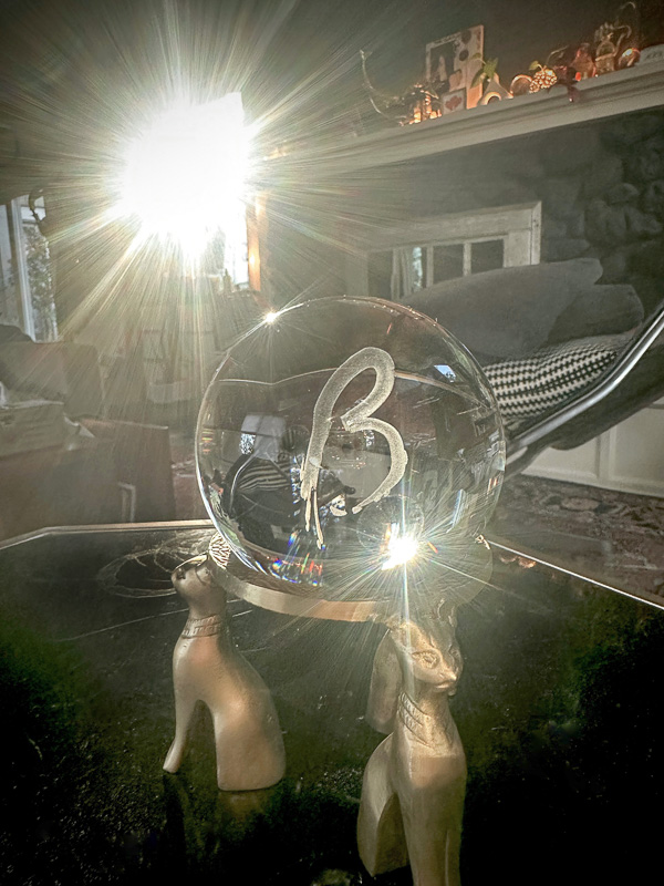 My Everyday Life Week 41 of 2025- Tracy Benjamin of Shutterbean.com