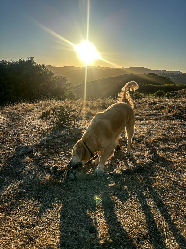 My Everyday Life Week 41 of 2025- Tracy Benjamin of Shutterbean.com