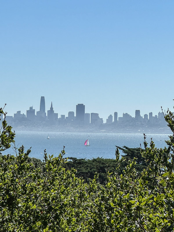 My Everyday Life Week 41 of 2025- Tracy Benjamin of Shutterbean.com