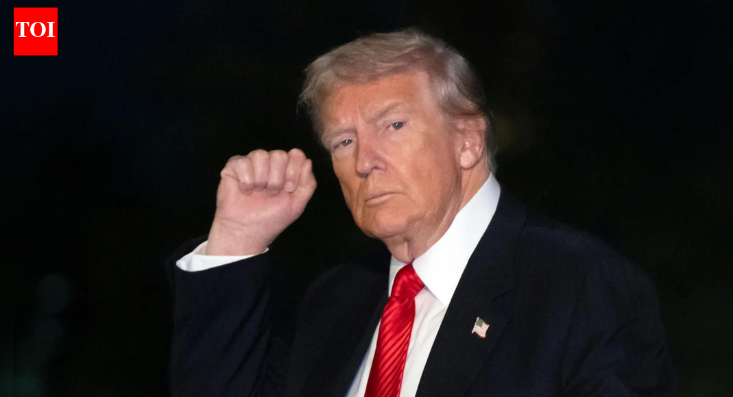 ‘Seditious behaviour, punishable by death!’: Trump attacks Democrats telling US troops to refuse illegal orders