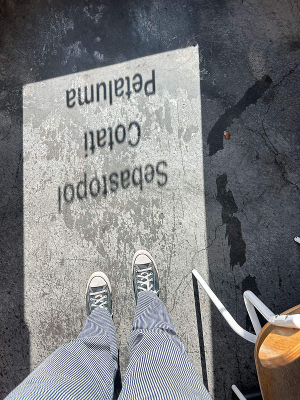 My Everyday Life Week 02 of 2026- Tracy Benjamin of Shutterbean.com