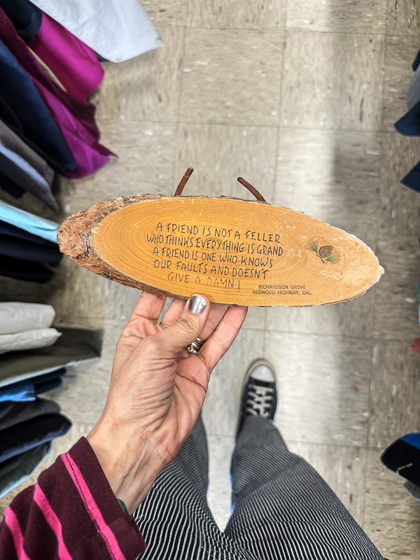 My Everyday Life Week 02 of 2026- Tracy Benjamin of Shutterbean.com