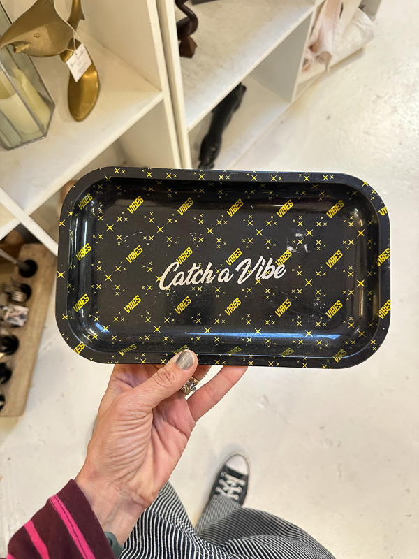 My Everyday Life Week 02 of 2026- Tracy Benjamin of Shutterbean.com