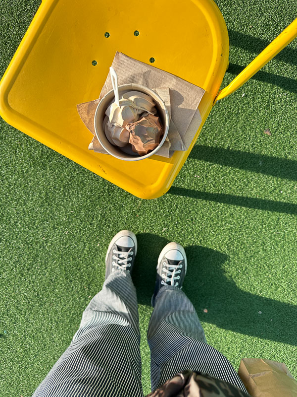 My Everyday Life Week 02 of 2026- Tracy Benjamin of Shutterbean.com