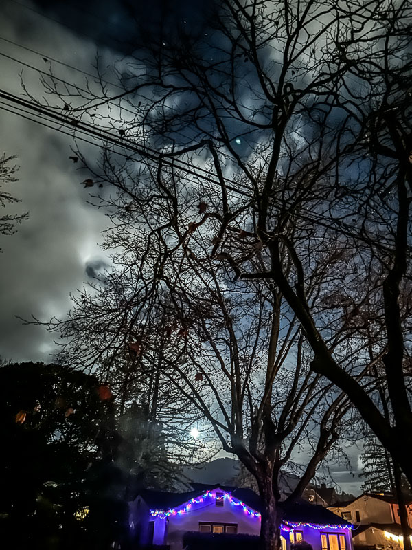 My Everyday Life Week 02 of 2026- Tracy Benjamin of Shutterbean.com