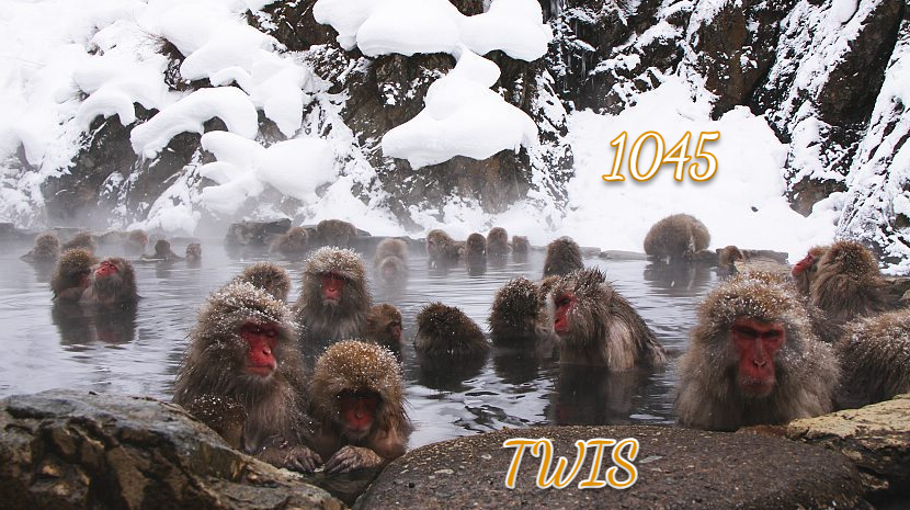 28 January, 2026 – Snakes on a train?