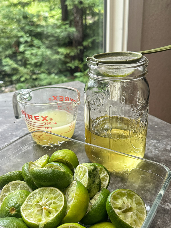 Homemade Sparkling Limeade with fresh lime juice and simple syrup. A bright, sweet-tart citrus drink and easy dupe for Sol Food sparkling limeade.