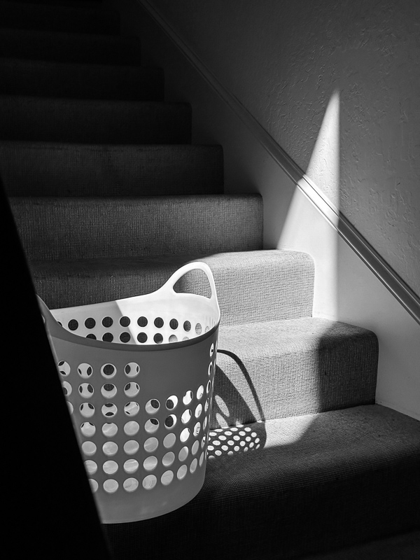 My Everyday Life Week 11 of 2026- Tracy Benjamin of Shutterbean.com