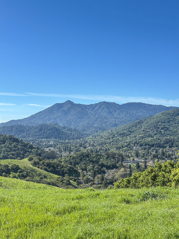 My Everyday Life Week 11 of 2026- Tracy Benjamin of Shutterbean.com