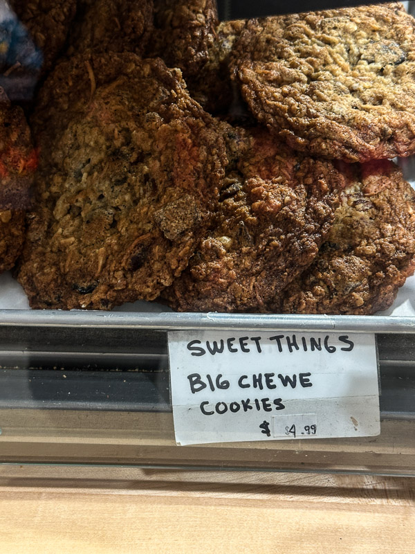 My Everyday Life Week 11 of 2026- Tracy Benjamin of Shutterbean.com