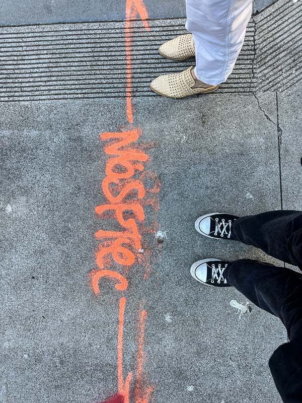 My Everyday Life Week 11 of 2026- Tracy Benjamin of Shutterbean.com