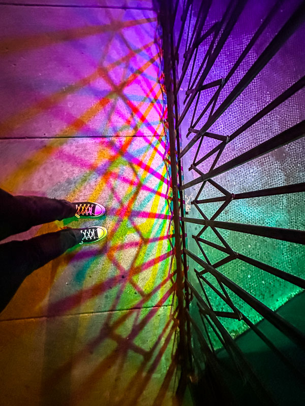 My Everyday Life Week 11 of 2026- Tracy Benjamin of Shutterbean.com