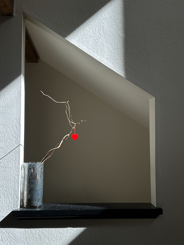 My Everyday Life Week 11 of 2026- Tracy Benjamin of Shutterbean.com