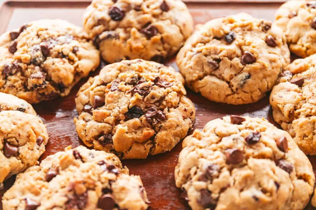 Bakery-Style Chocolate Oatmeal Lactation Cookies