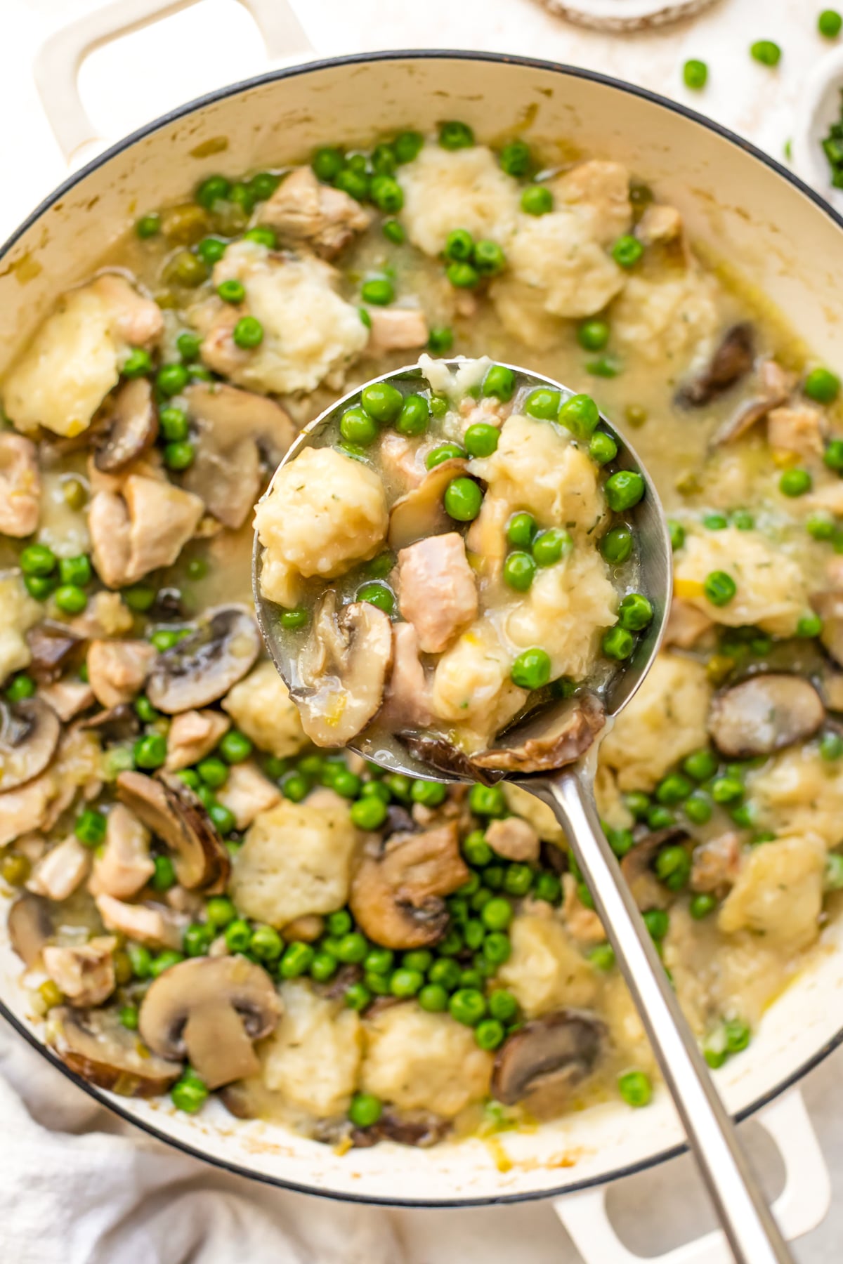 Spring Chicken and Dumplings