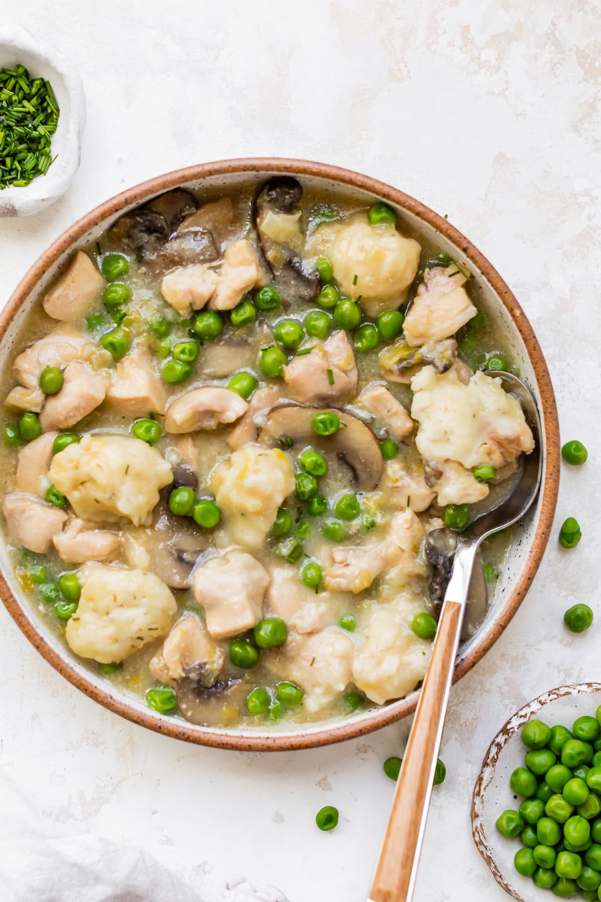Spring Chicken and Dumplings