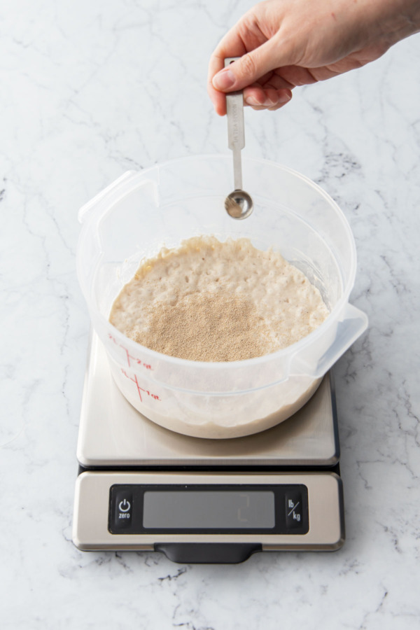 After an overnight rest, the poolish will be loose and very bubbly.