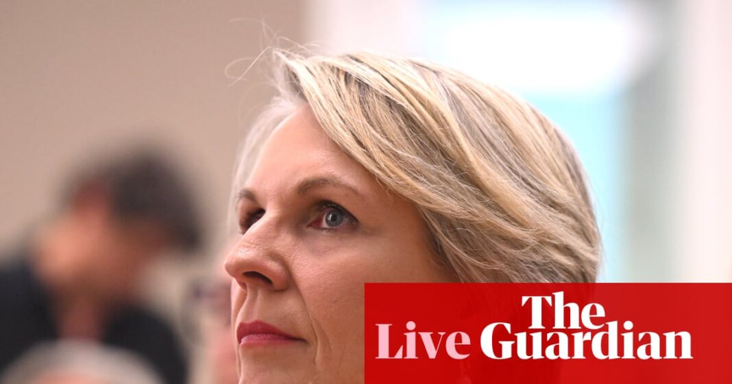 Australia news live: Plibersek says ‘we owe these women more than our sorrow’ after NSW deaths; Chalmers flags ‘confronting’ 40-year outlook | Australian politics