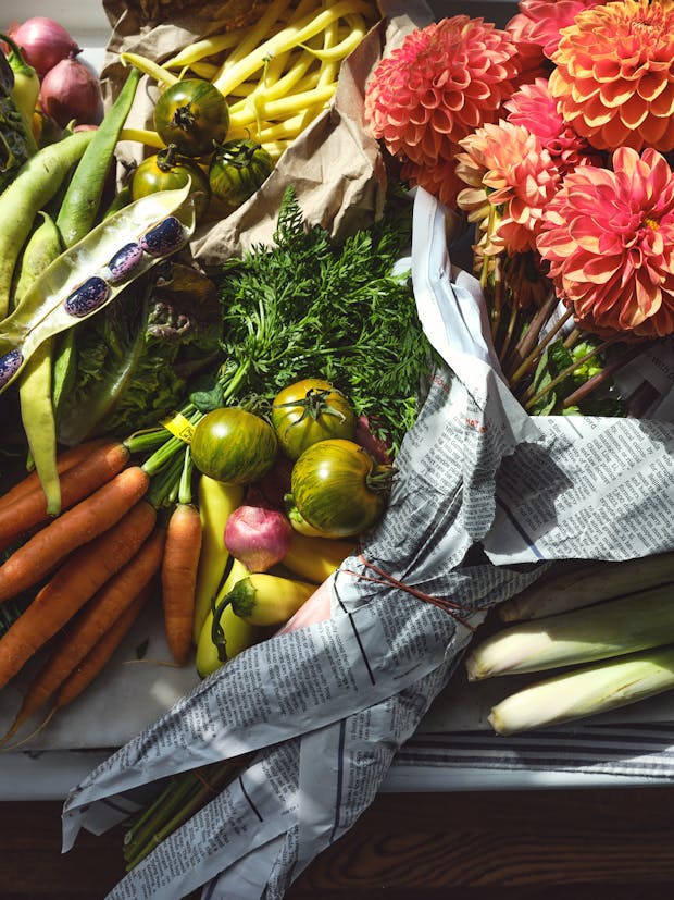 ingredients for summer lunch salad from the farmers market