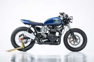 Mule triumph jma 2