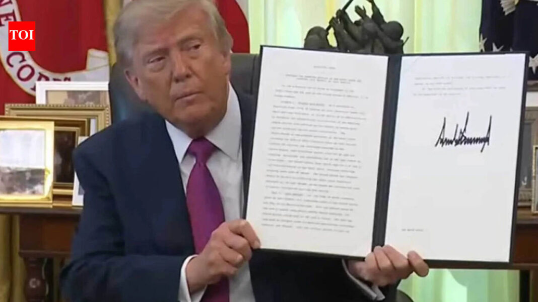 ‘Likely unconstitutional’: US judge partially halts Trump’s latest birthright citizenship order