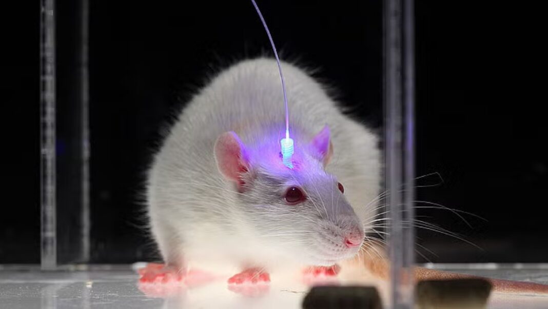 Nobel Prize in Physiology or Medicine 2026