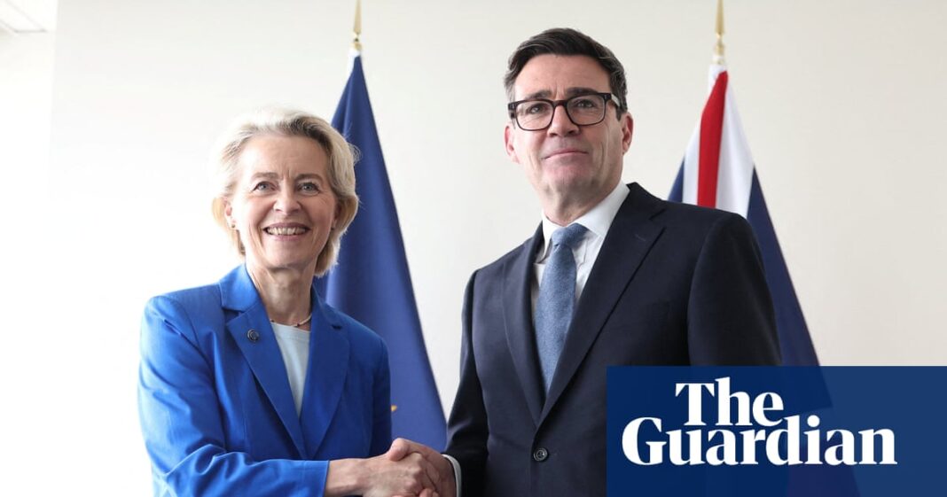 Repairing Brexit economic damage should be Burnham’s top priority, business chief says | Economics