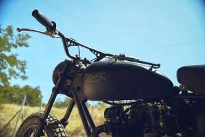 Triumph 1984sc 6